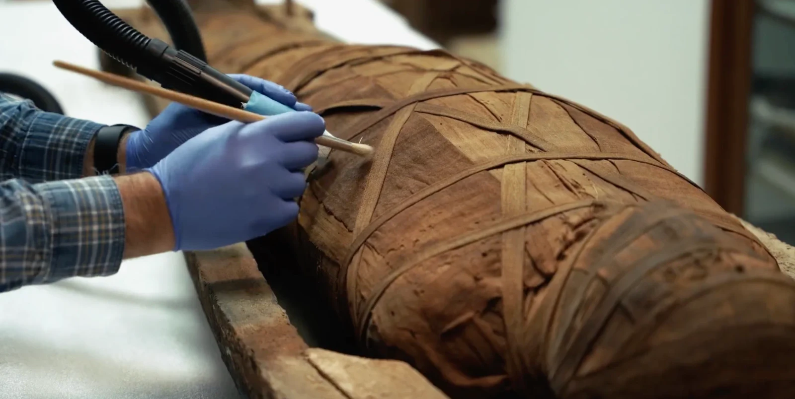 The Mummy Project
