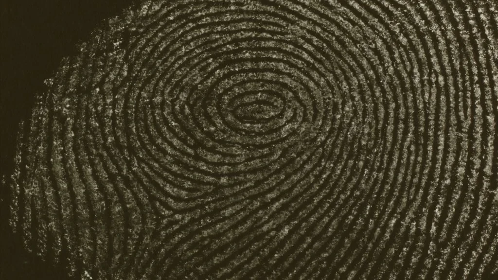 Microscopia