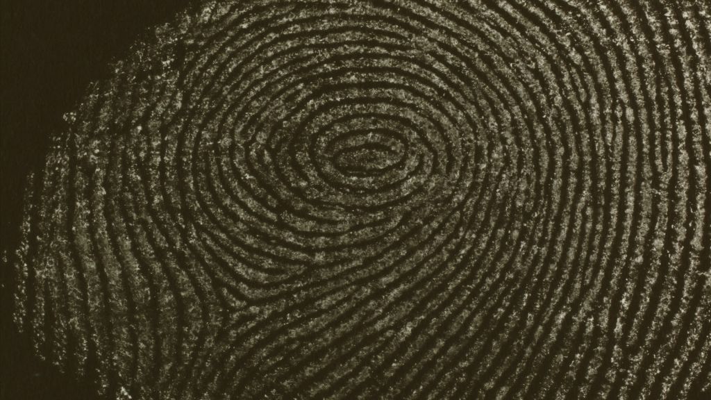 Microscopia