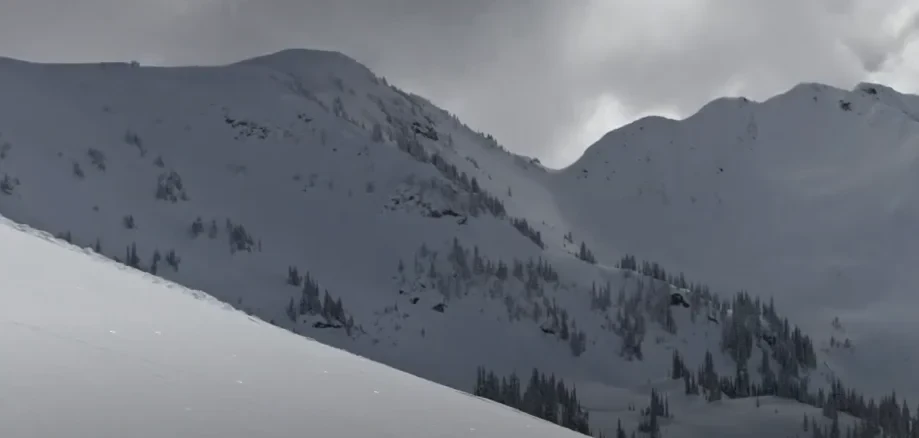 Mountain Joy