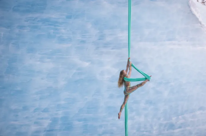 Wild Aerial