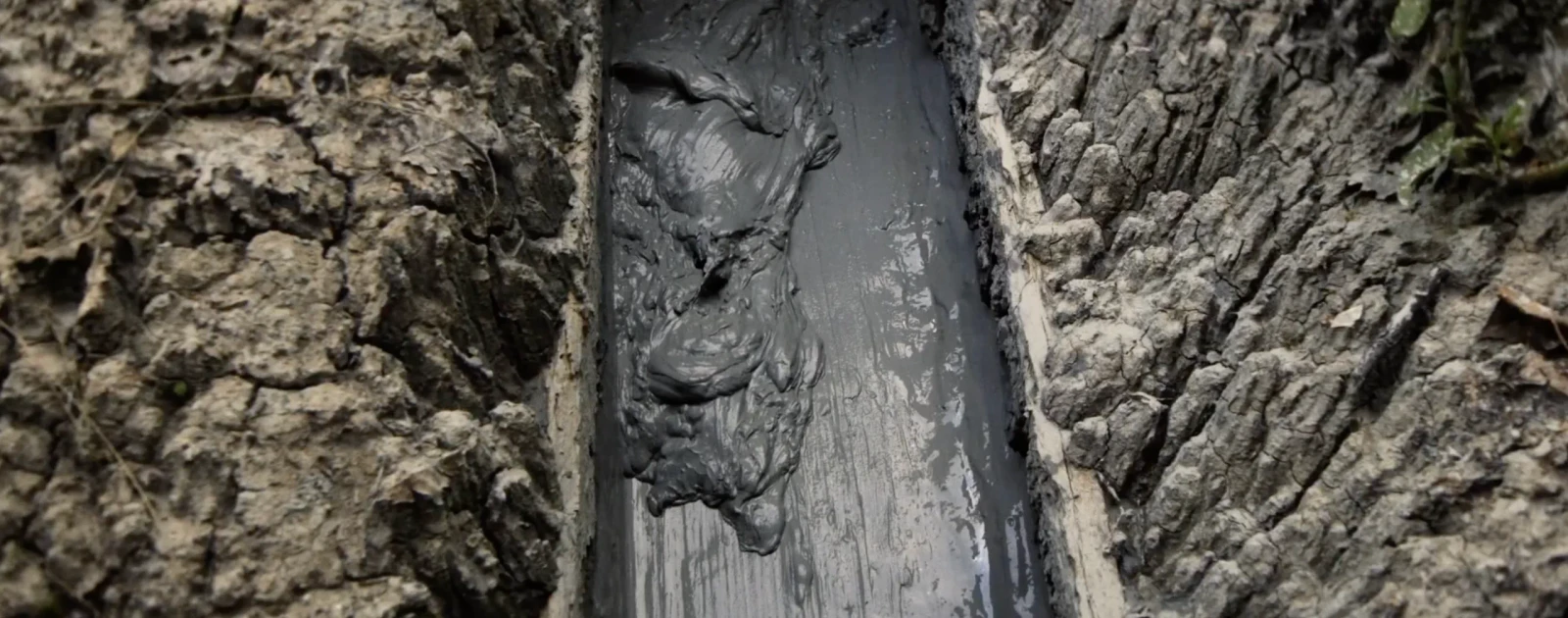 What Does the Mud Whisper?