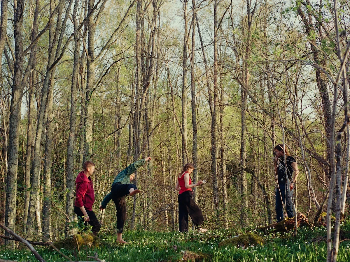 Once Upon a Time in a Forest