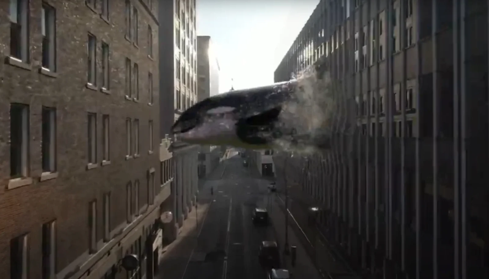 Orca