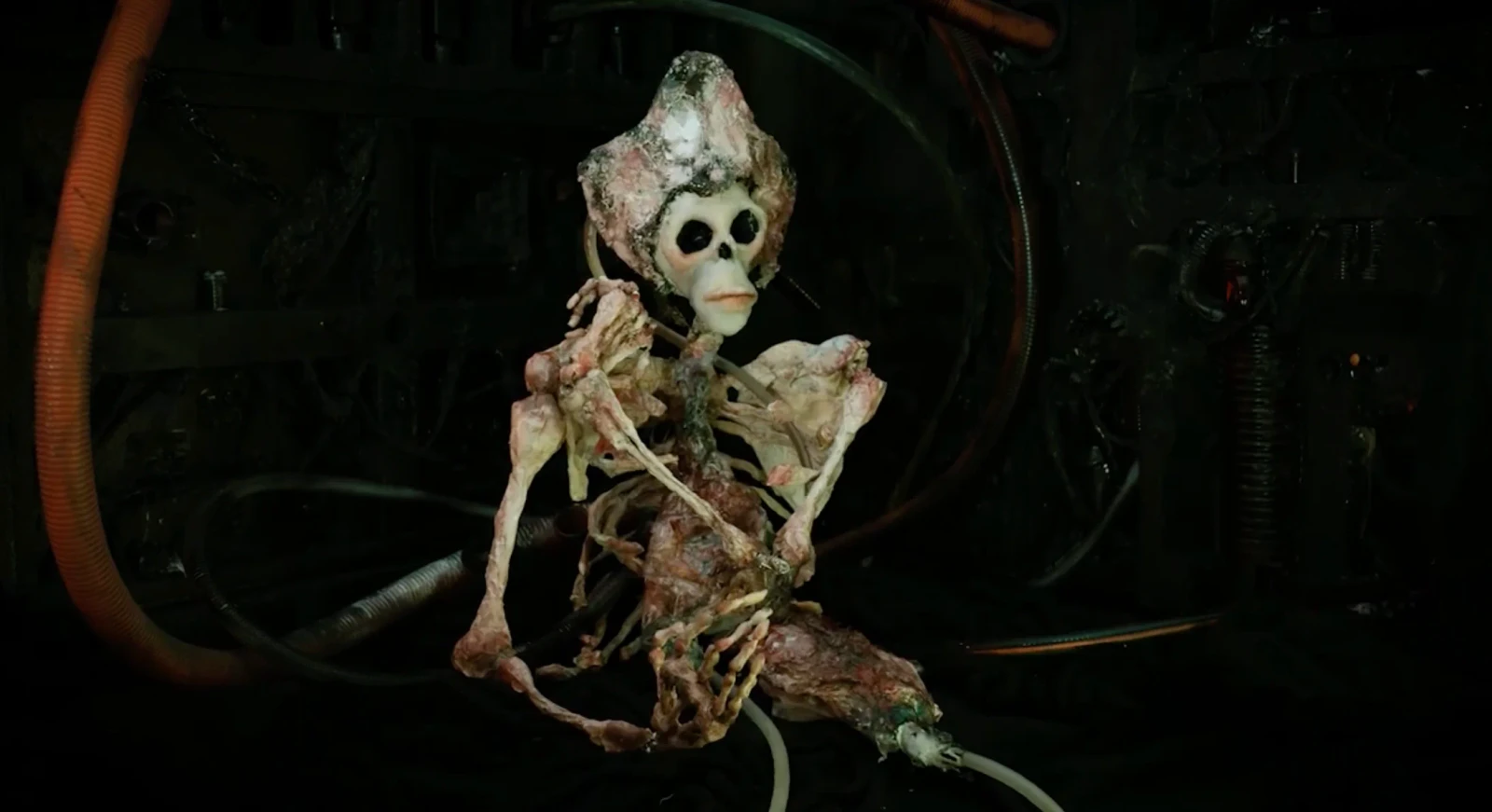 Our Lady of Rot