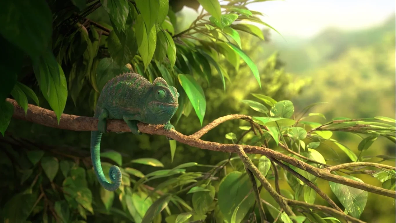 Our Wonderful Nature - The Common Chameleon