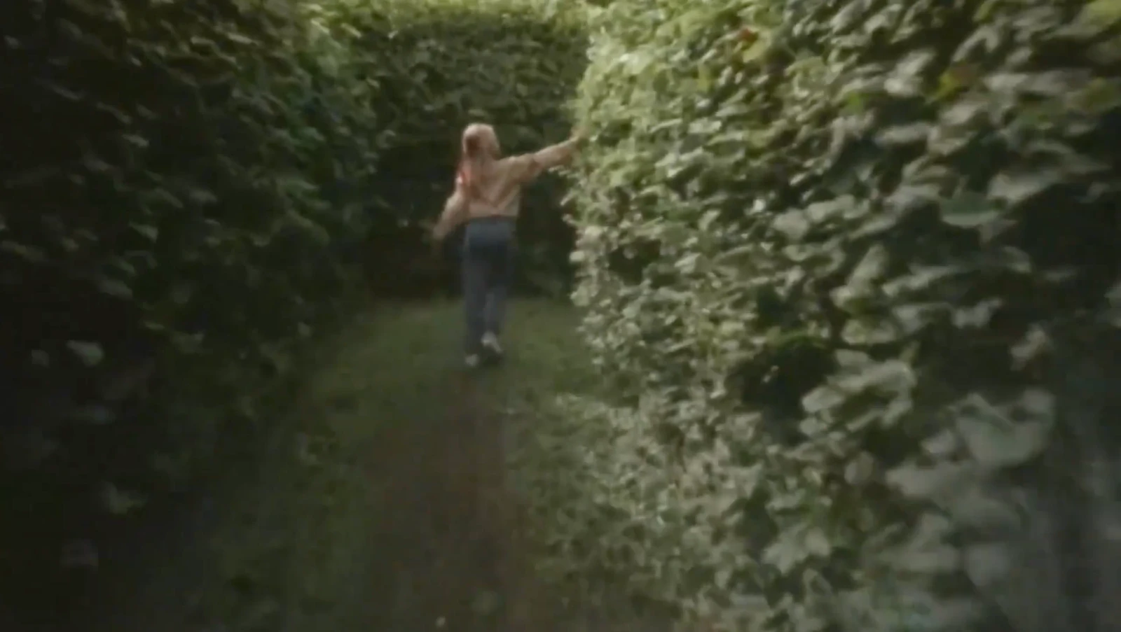 In and Out of the Hornbeam Maze