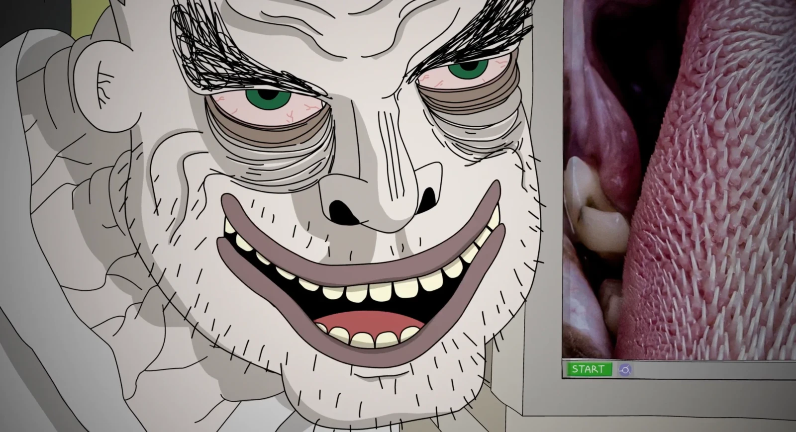 Peter Hair