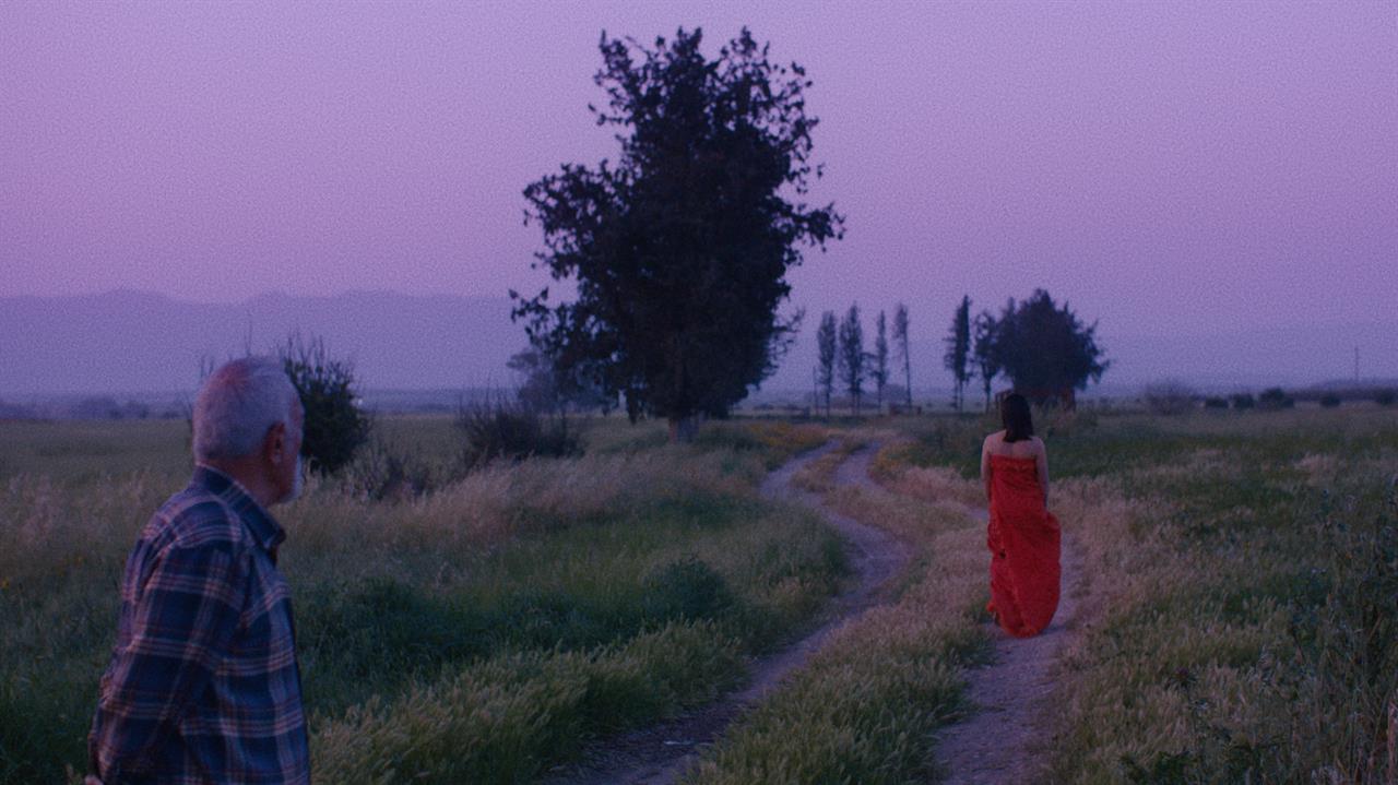 Pink Moon