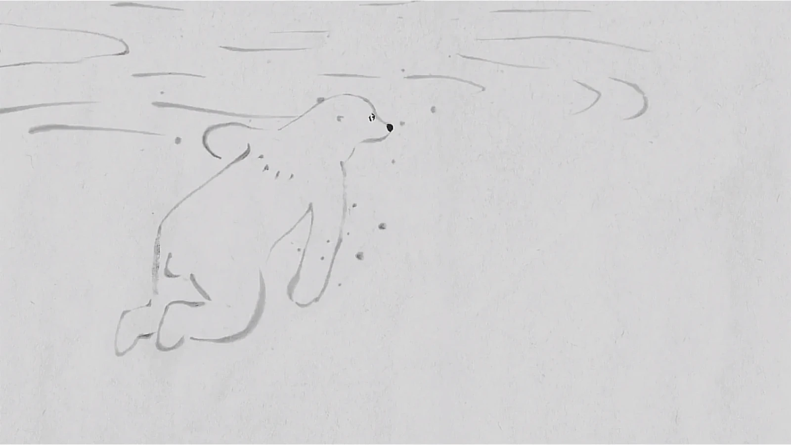 Polar Bear Bears Boredom