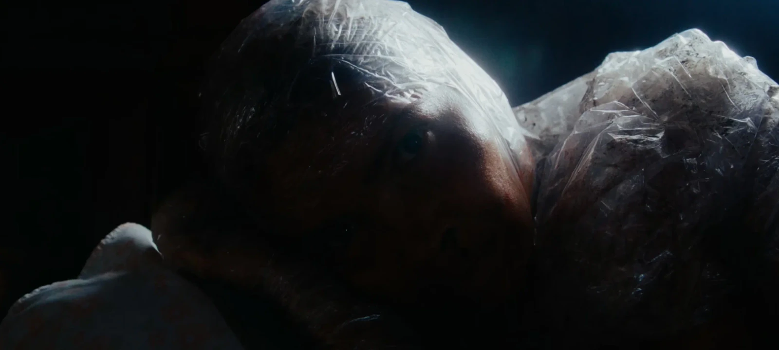 The New Flesh