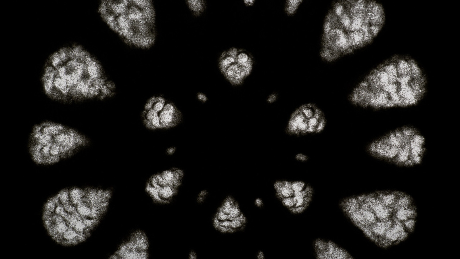 Touching Darkness