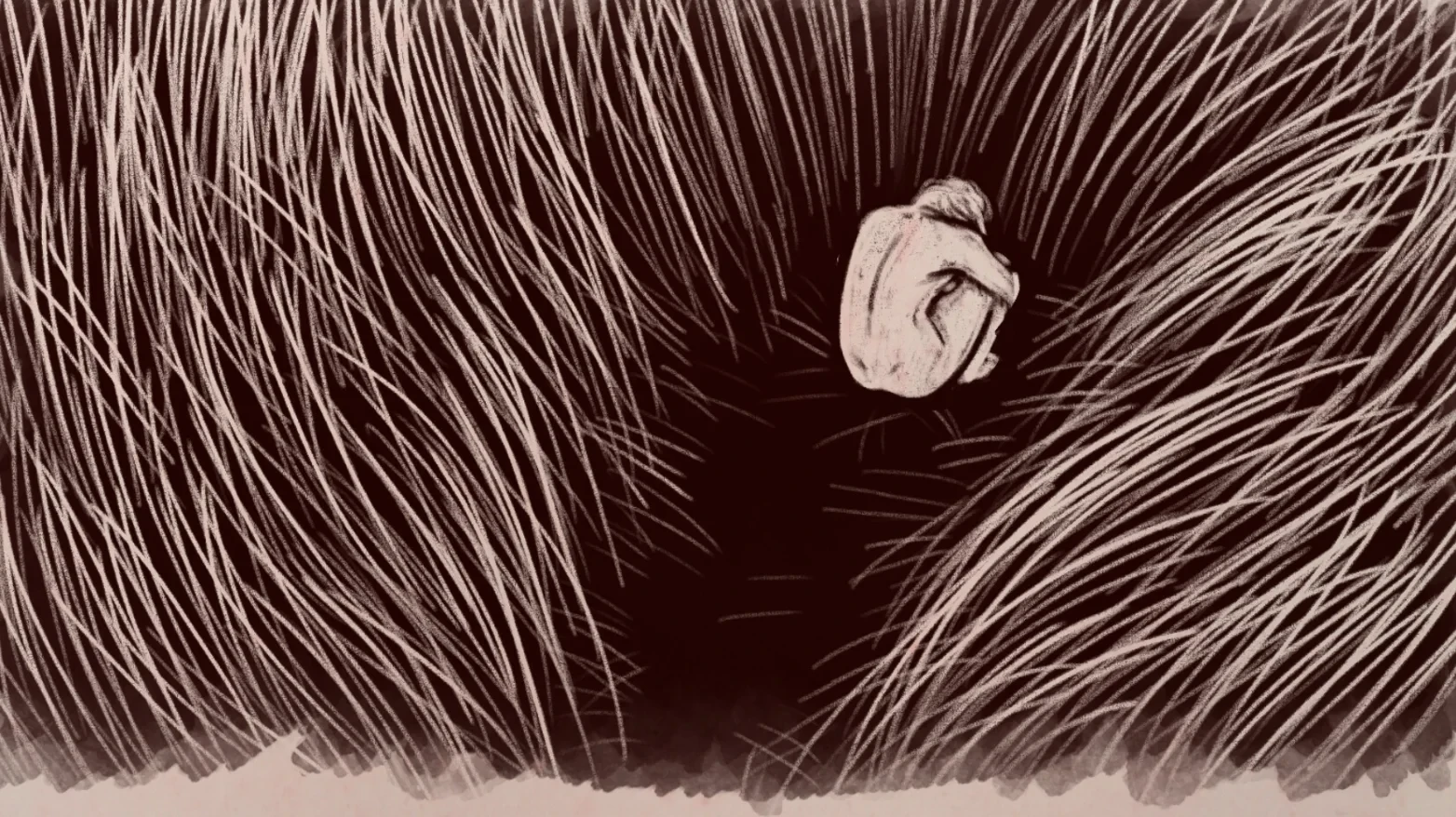Between Hairs