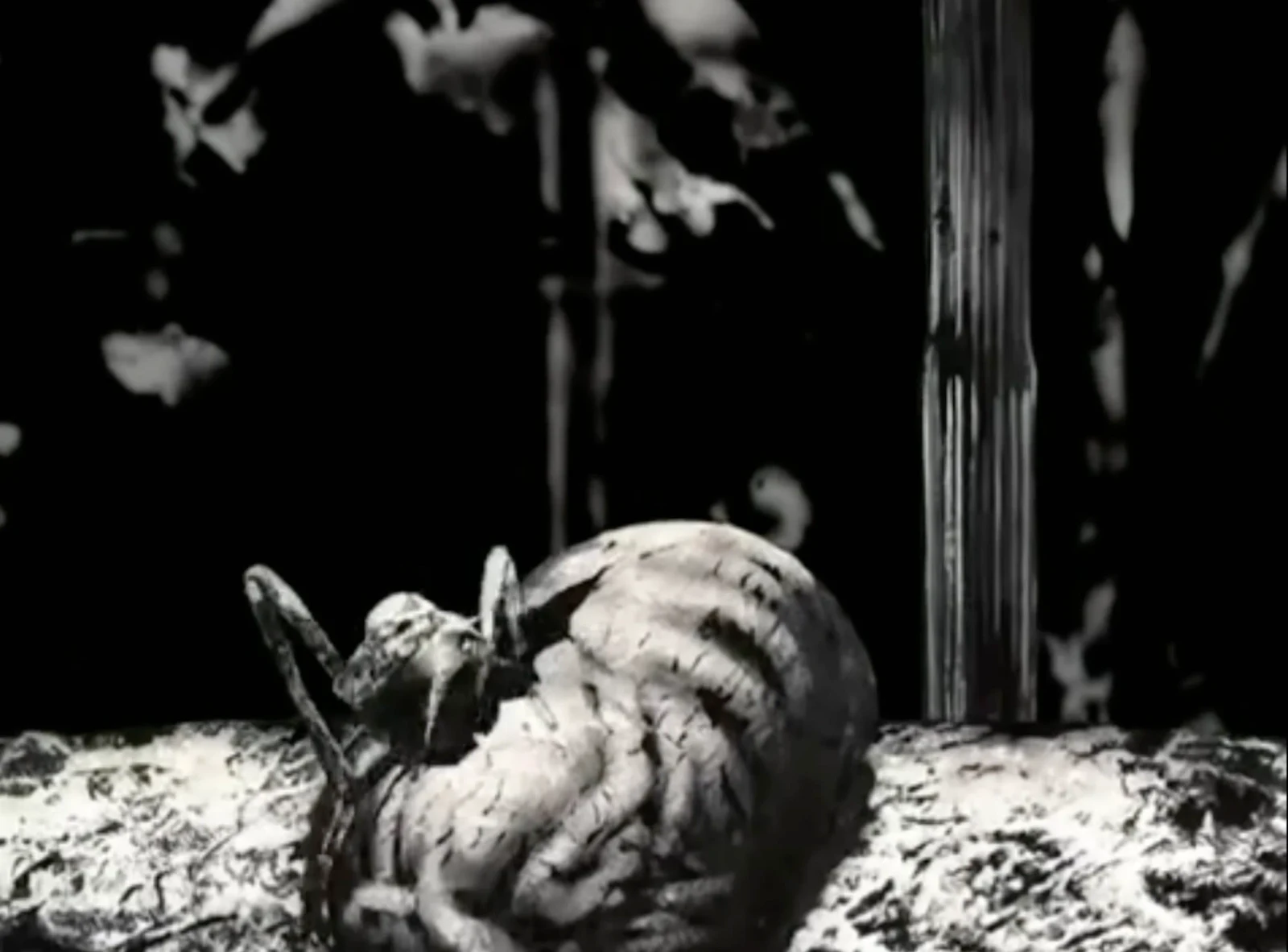 Reflection