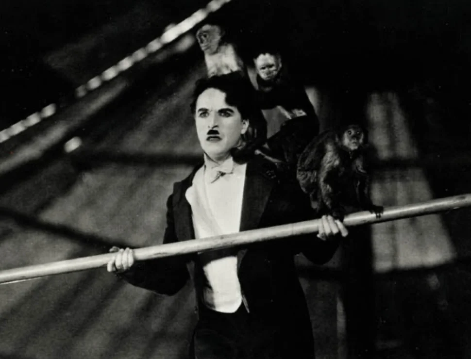 The Circus