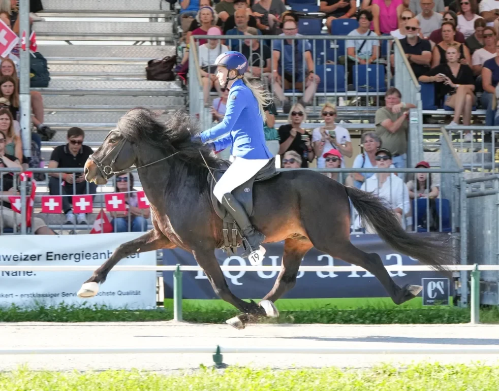 Ride of a Lifetime