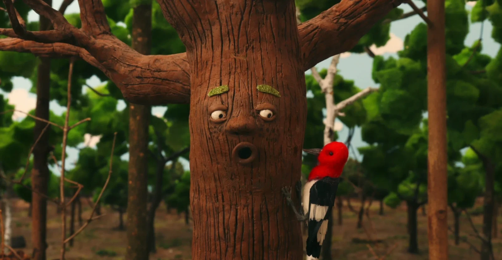 Sapling