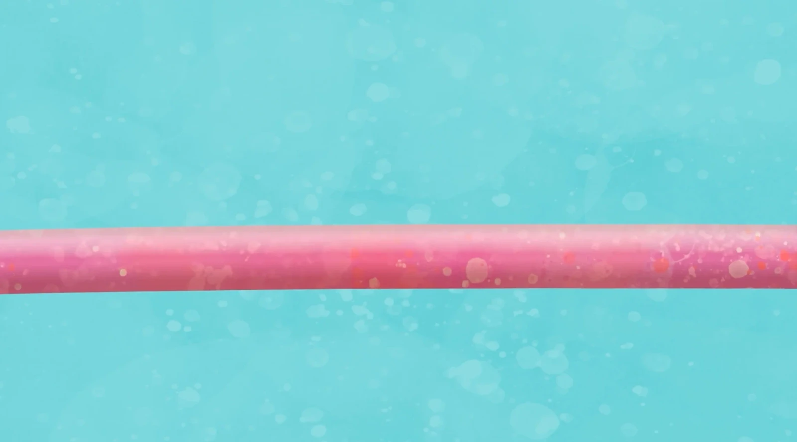 Sausage Poem