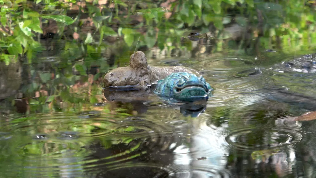 Frozen Frog