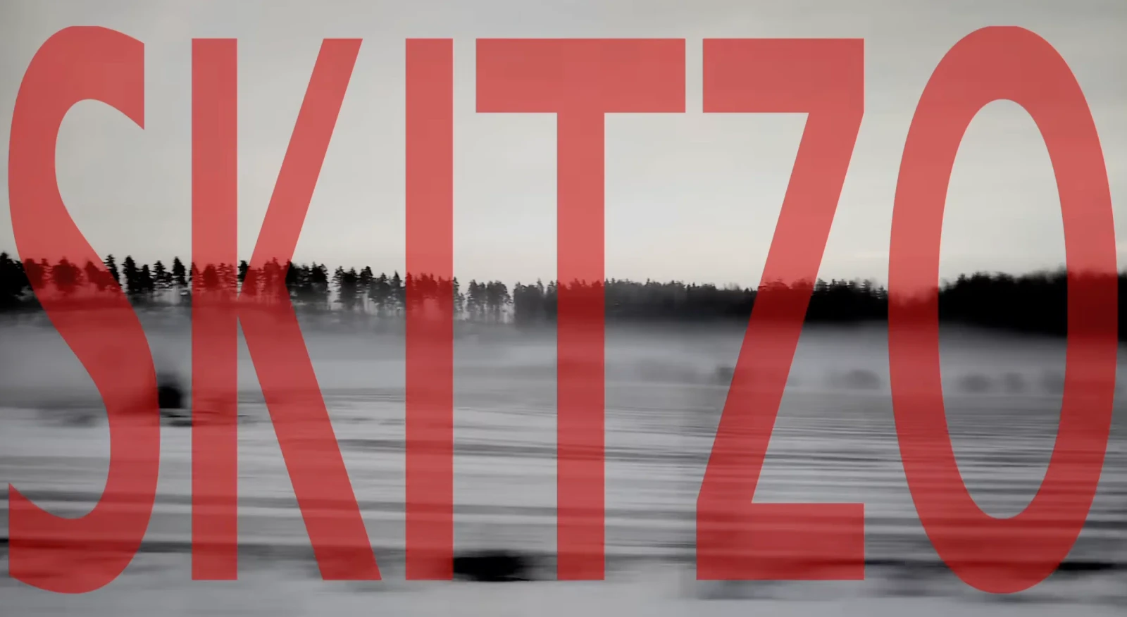Skitzo