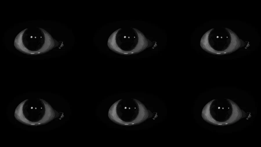 Sleep paralysis