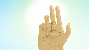 Sprout