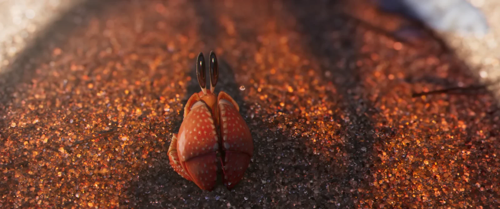 Shellfish