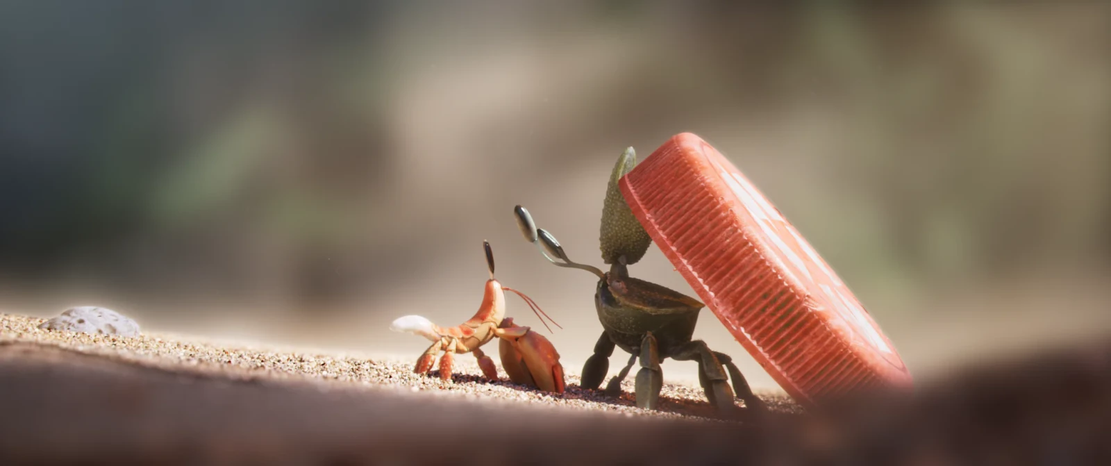 Shellfish