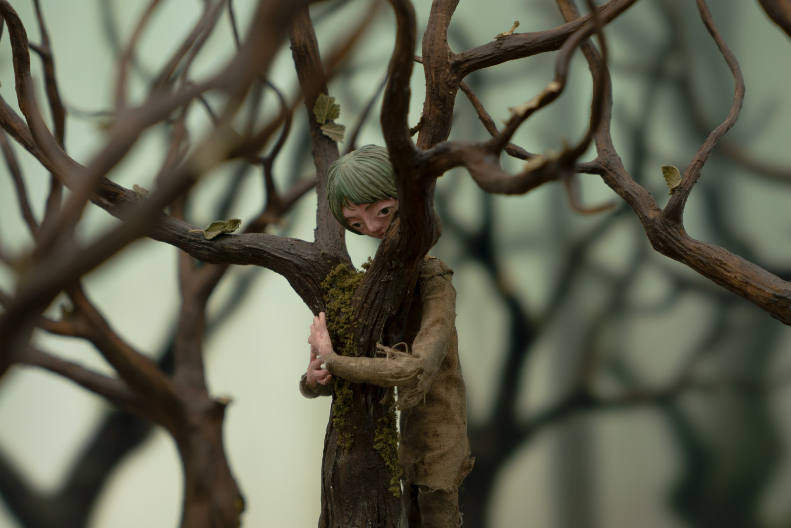 Tree, Tree