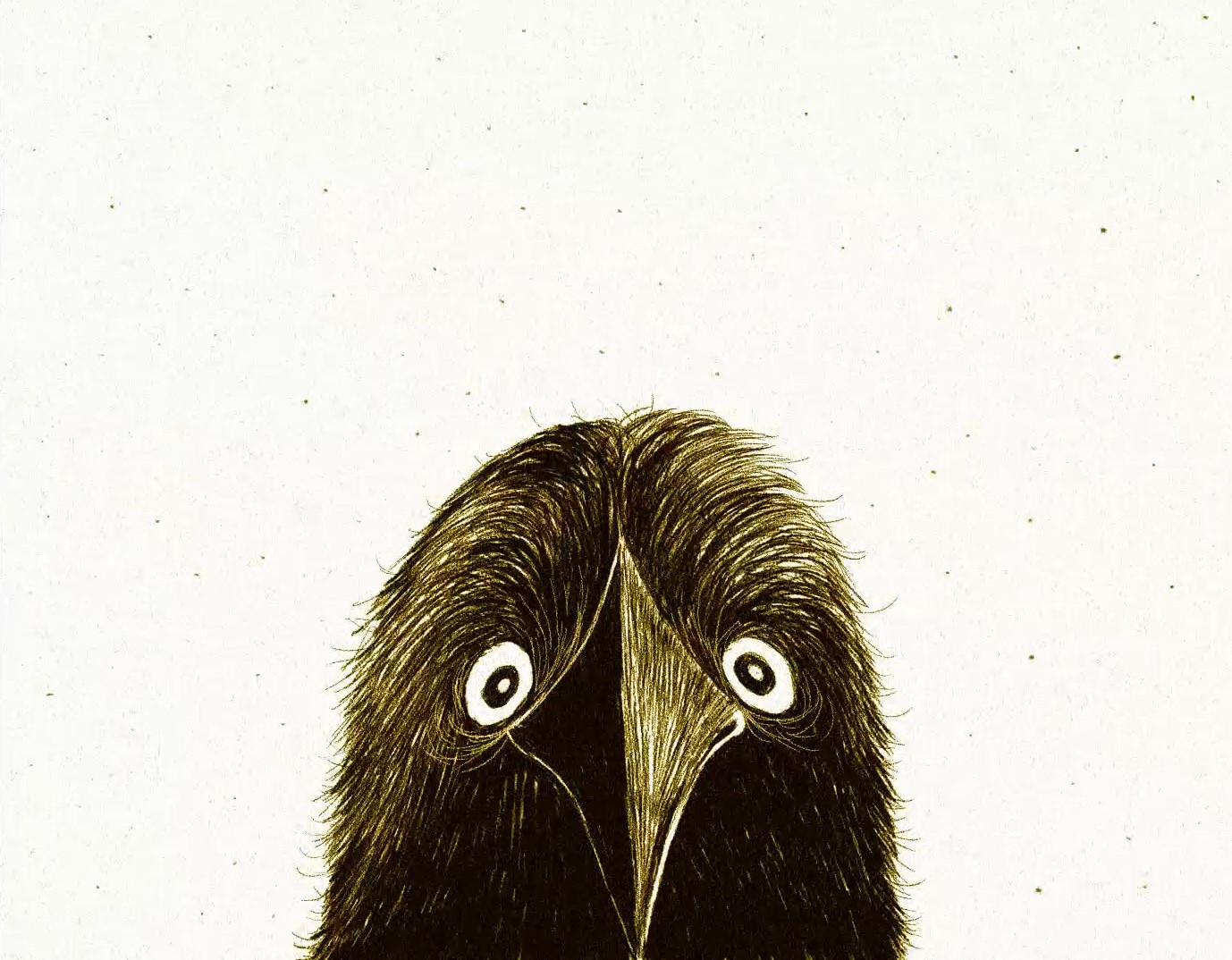 My crow don't know to fish