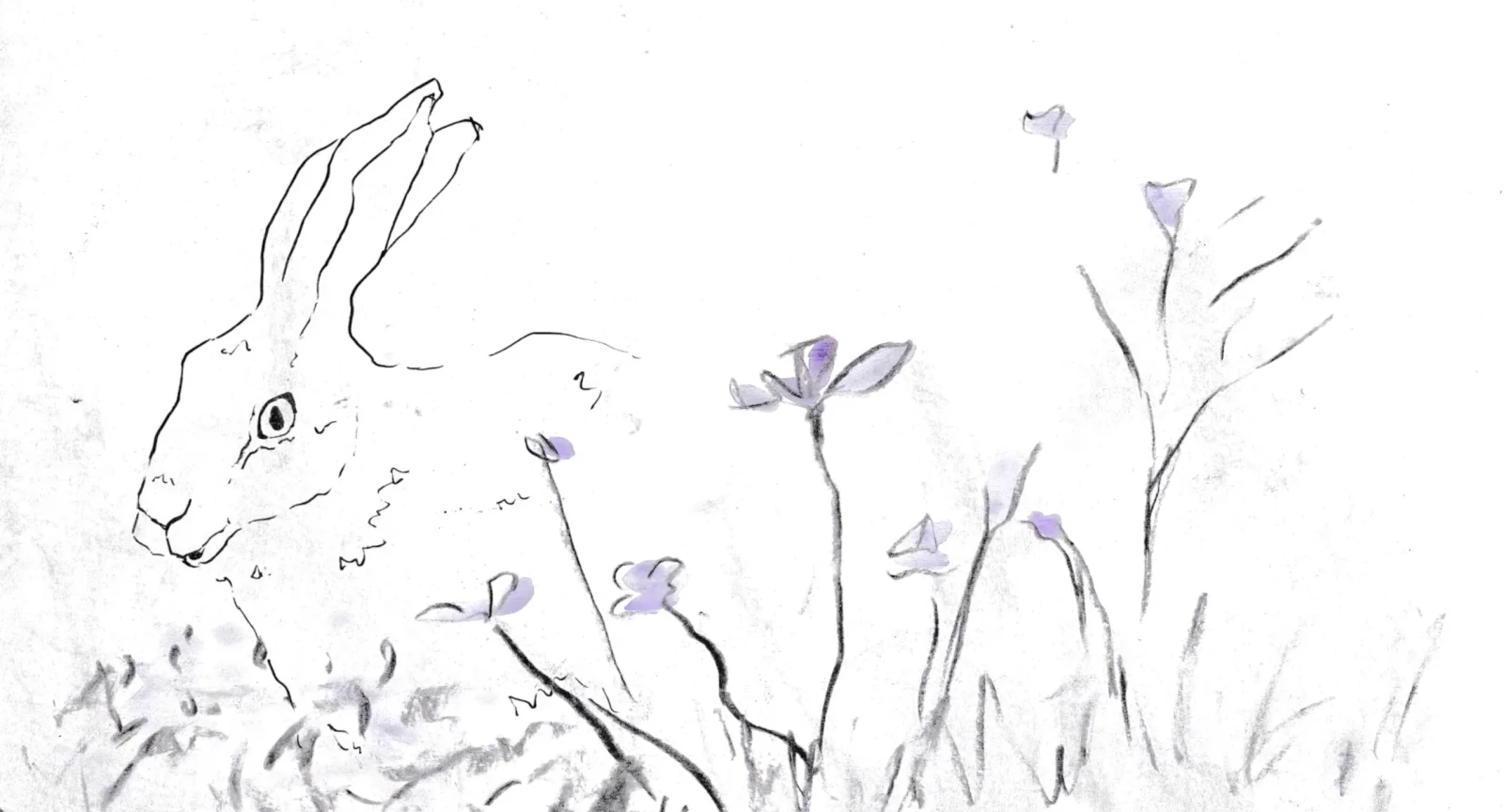 Strokes of Wildflowers