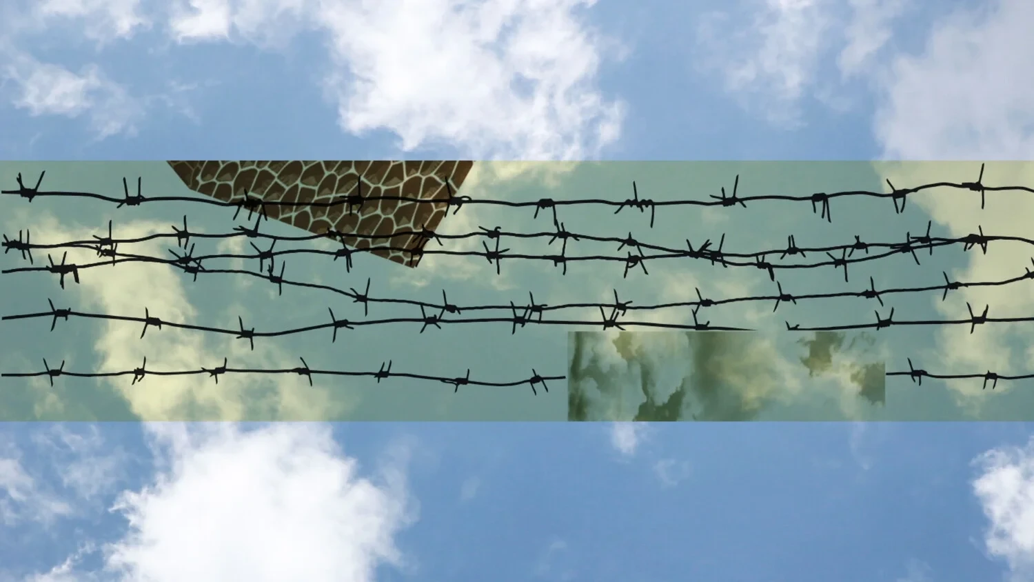 The Absence of Memory