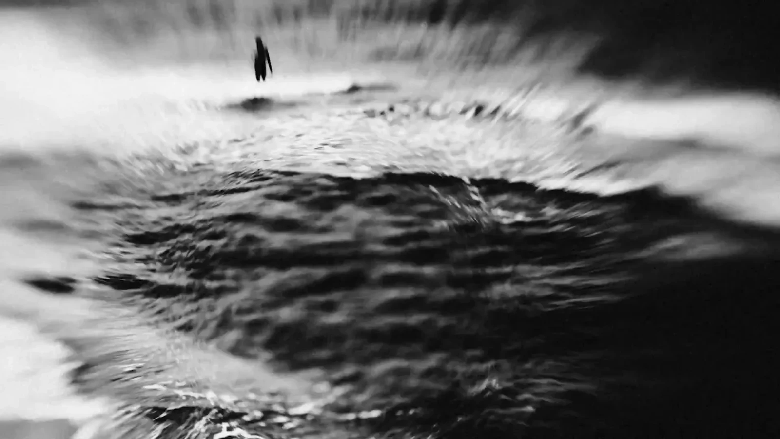 The Abyss