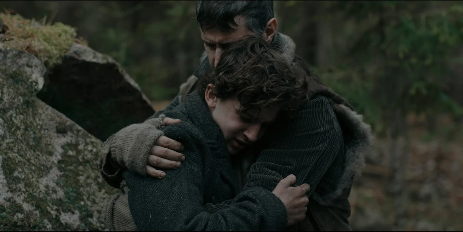 The Boy in the Woods