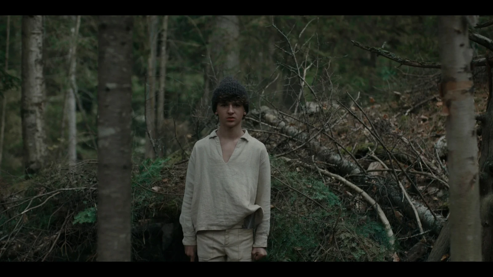 The Boy in the Woods
