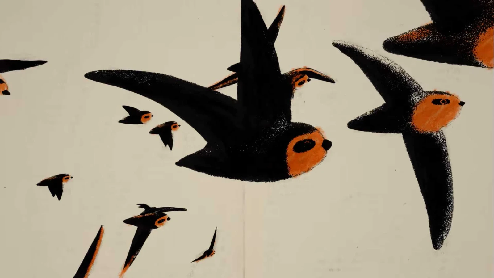 The Chimney Swift