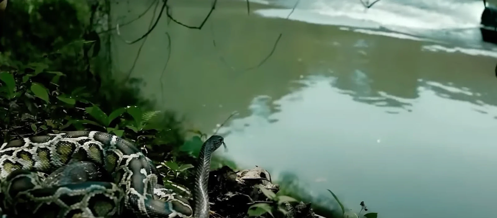 The Chronology of Water