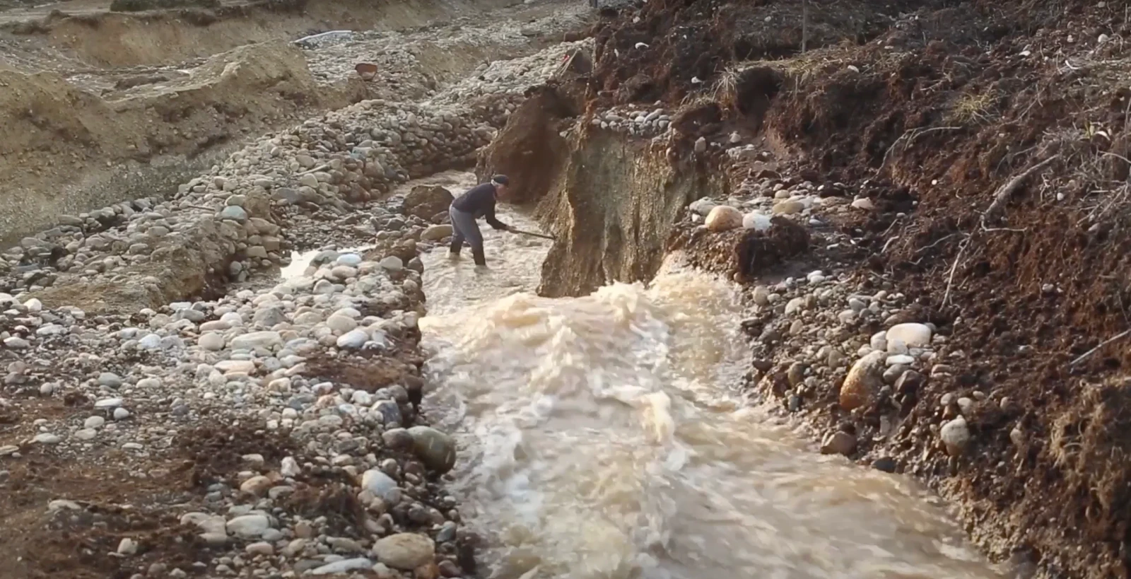 The Fabulous Gold Harvesting Machine