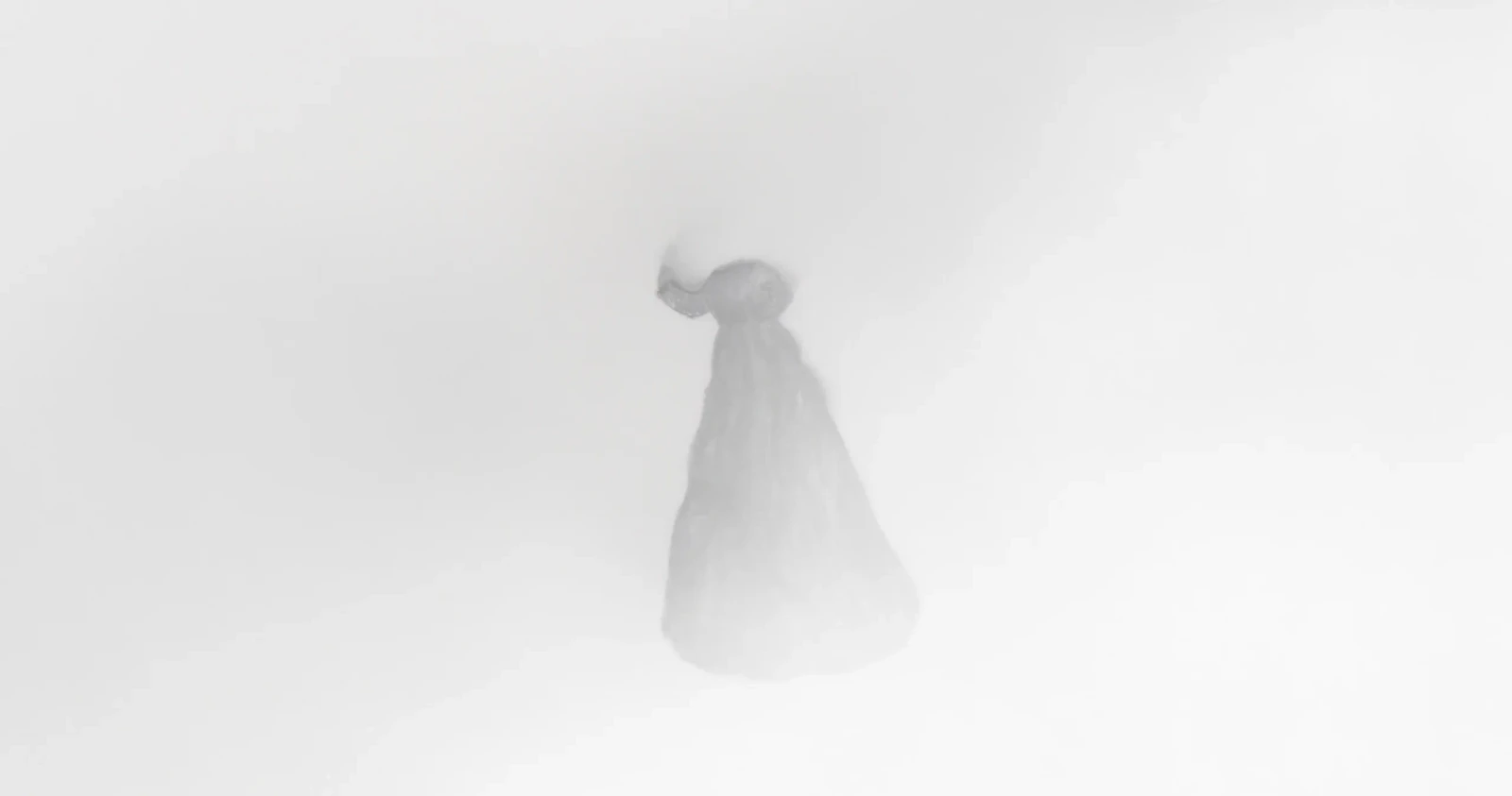 The Hour Coat