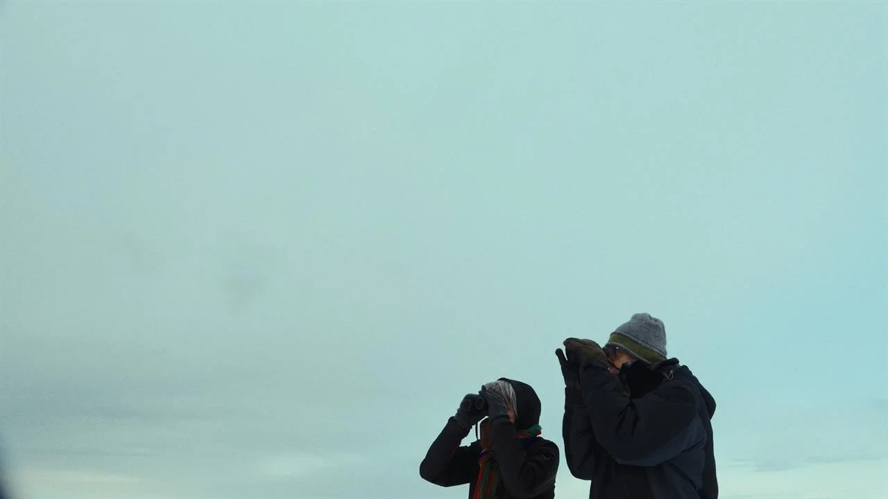 The Last Observers