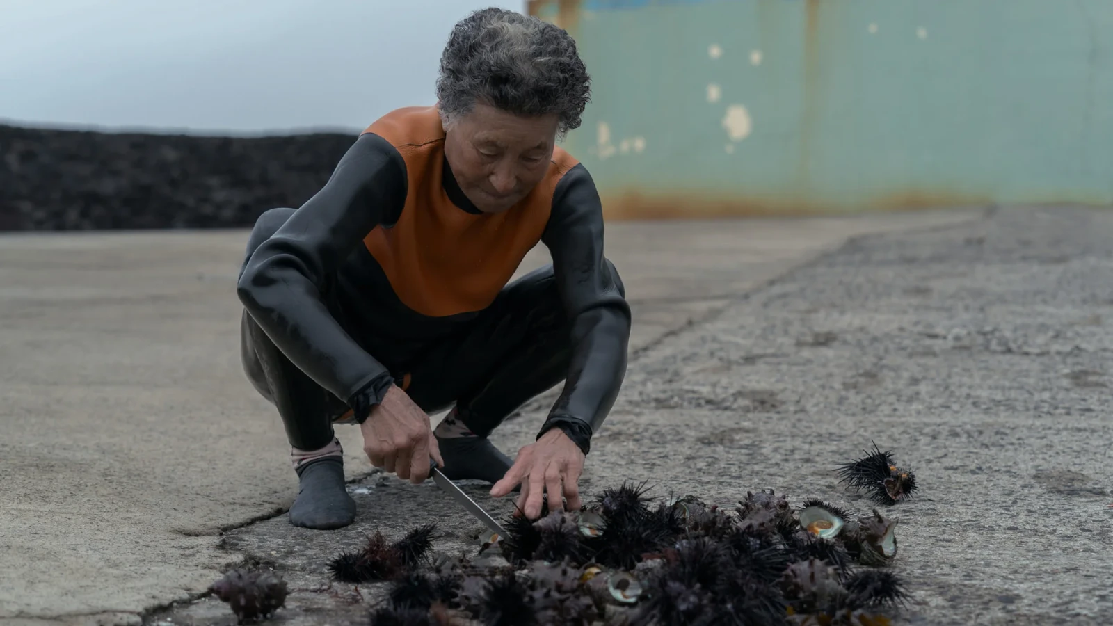 The Last of The Sea Women