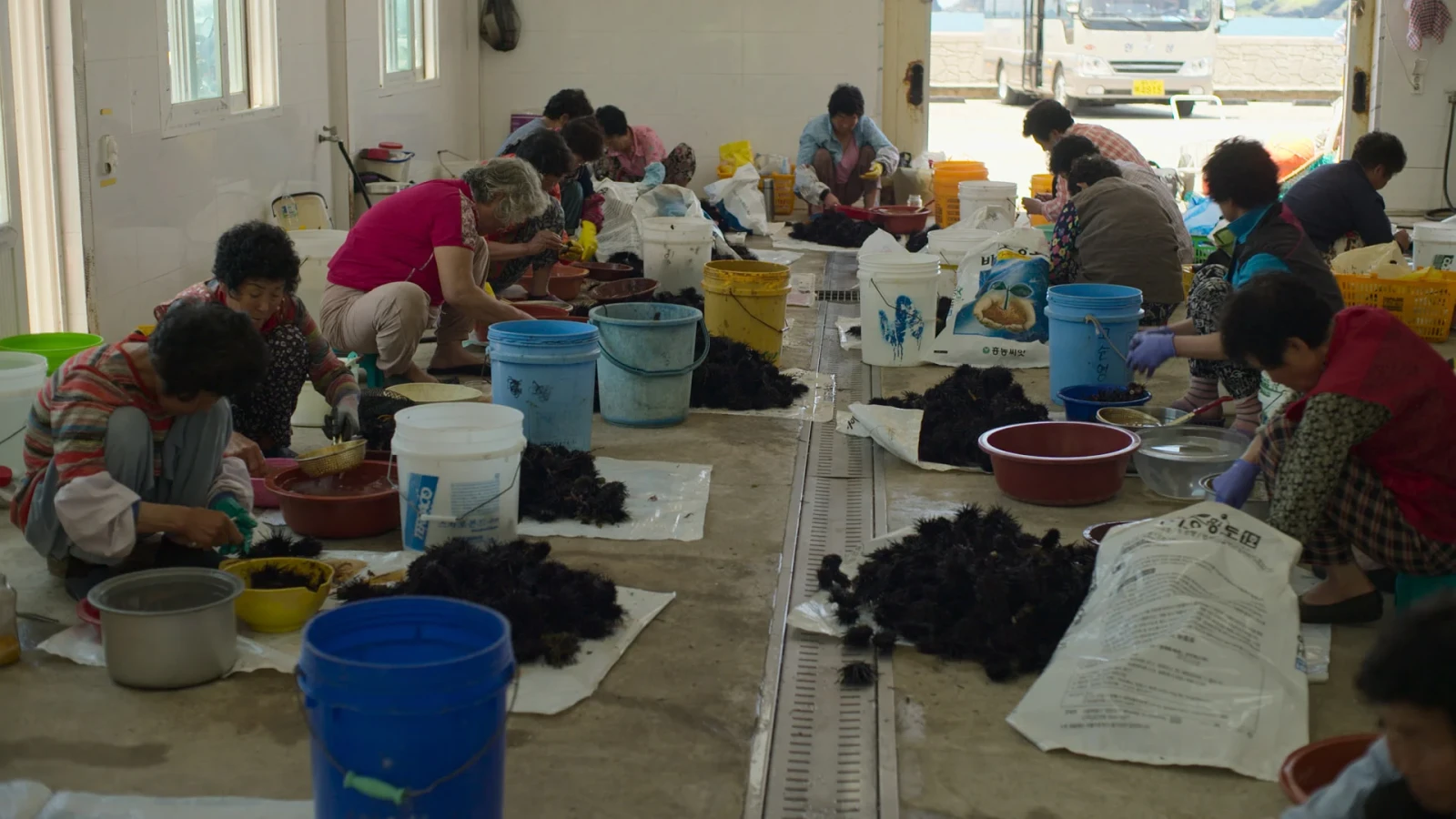 The Last of The Sea Women