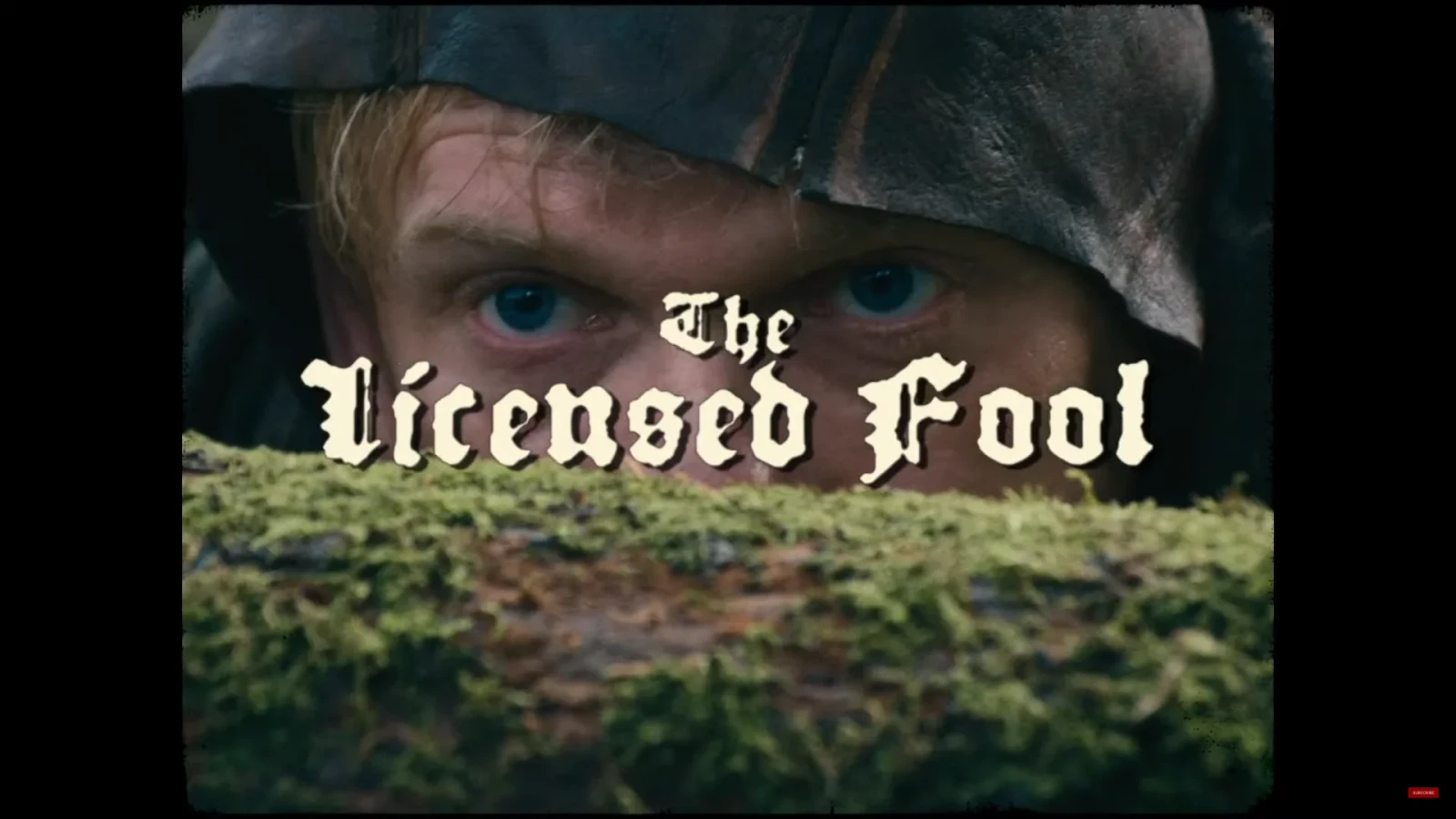The Licensed Fool