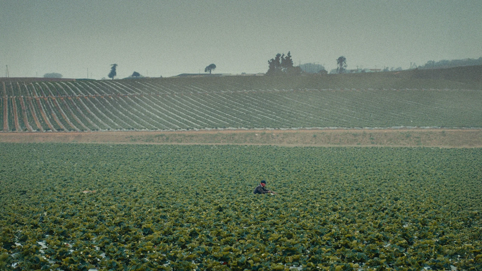 The Long Valley