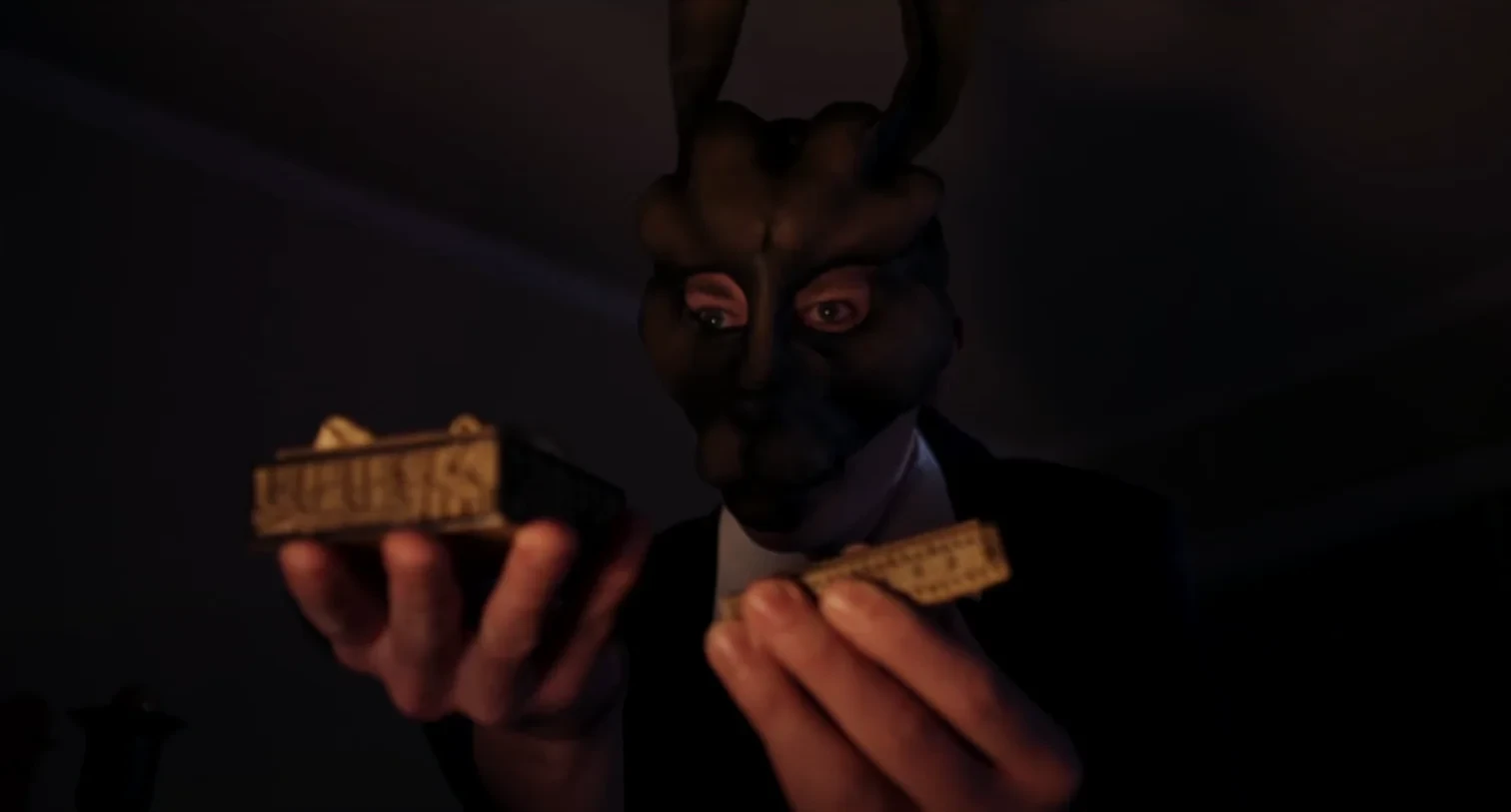 The Man in the Rabbit Mask