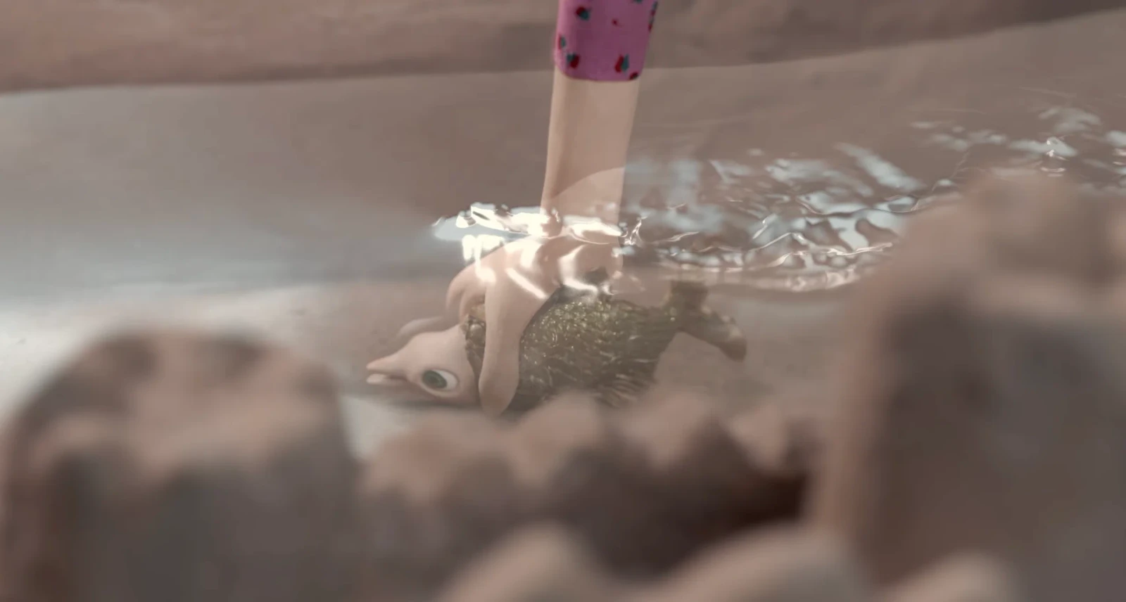 The Pool or Death of a Goldfish