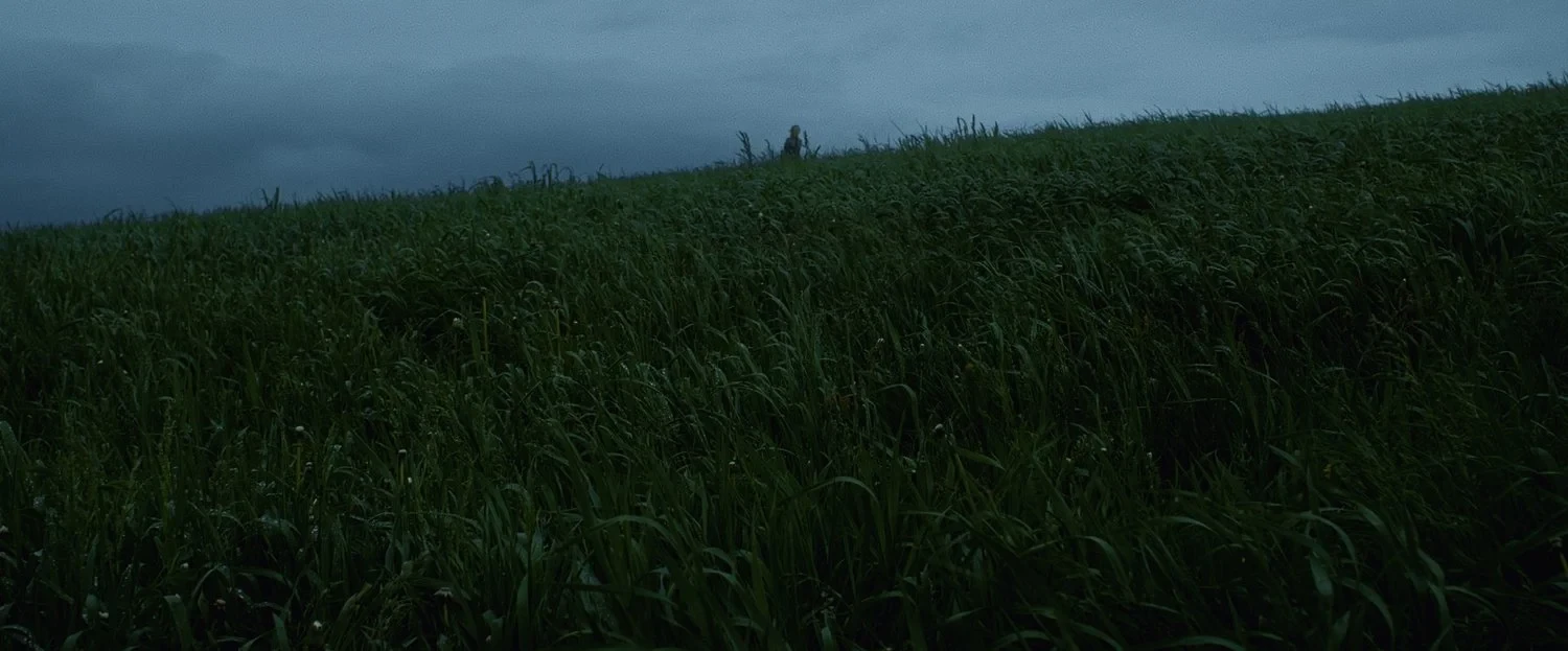 The Quiet Surrender