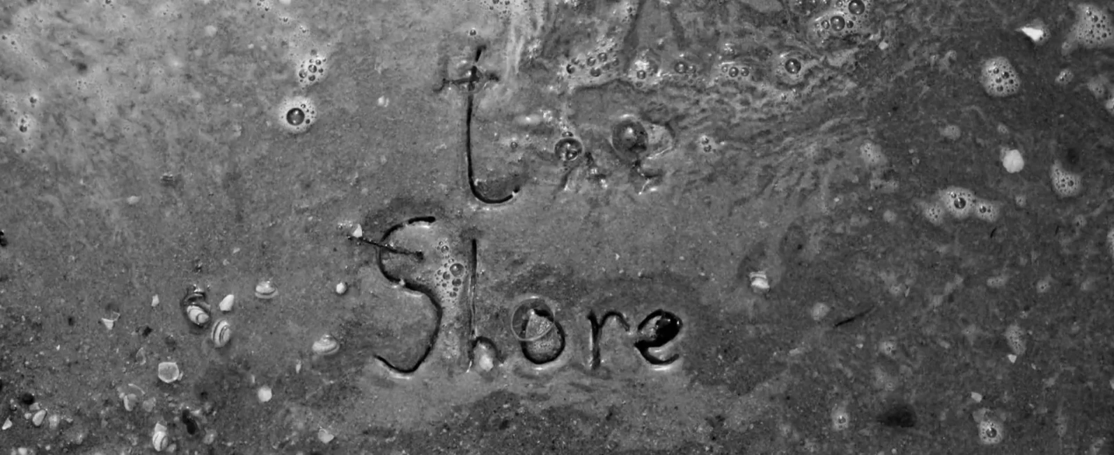The Shore