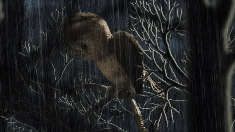 The Sparrow Who Kept His Word