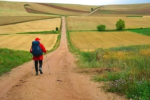 The Way, My Way